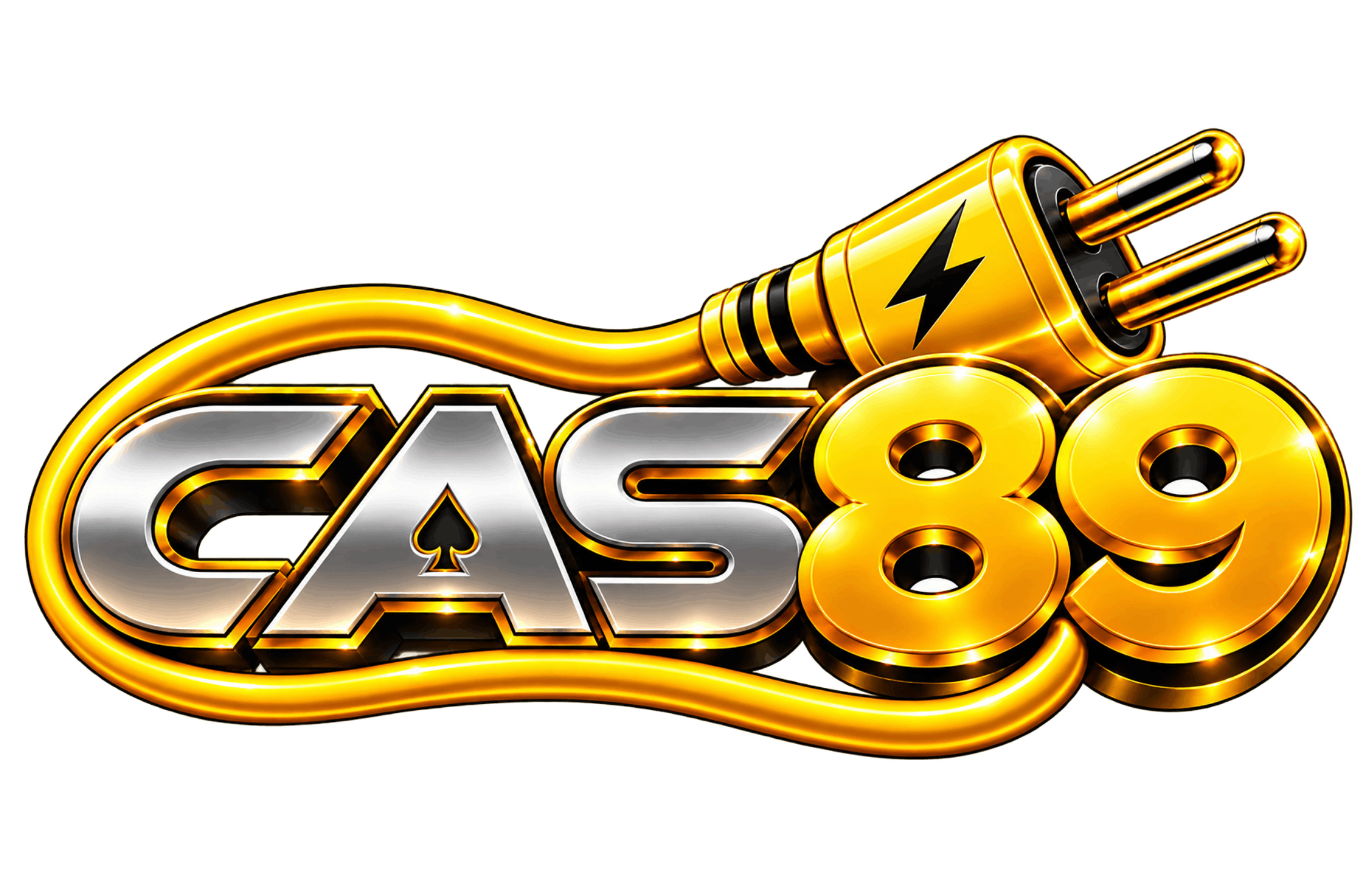 CAS89 Standard Logo